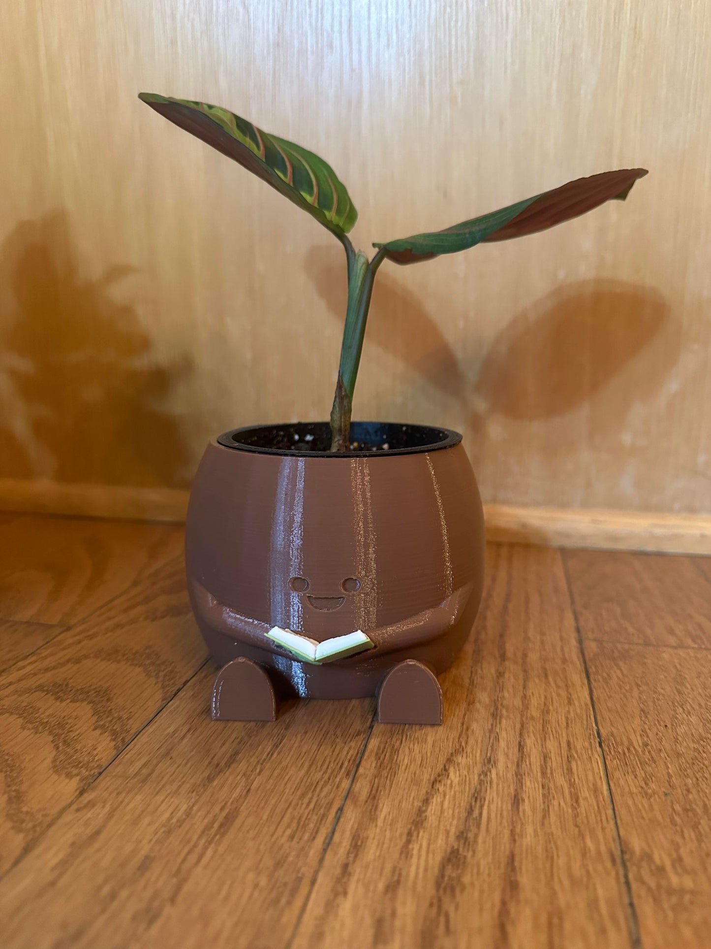 Smiling Book Reading Planter