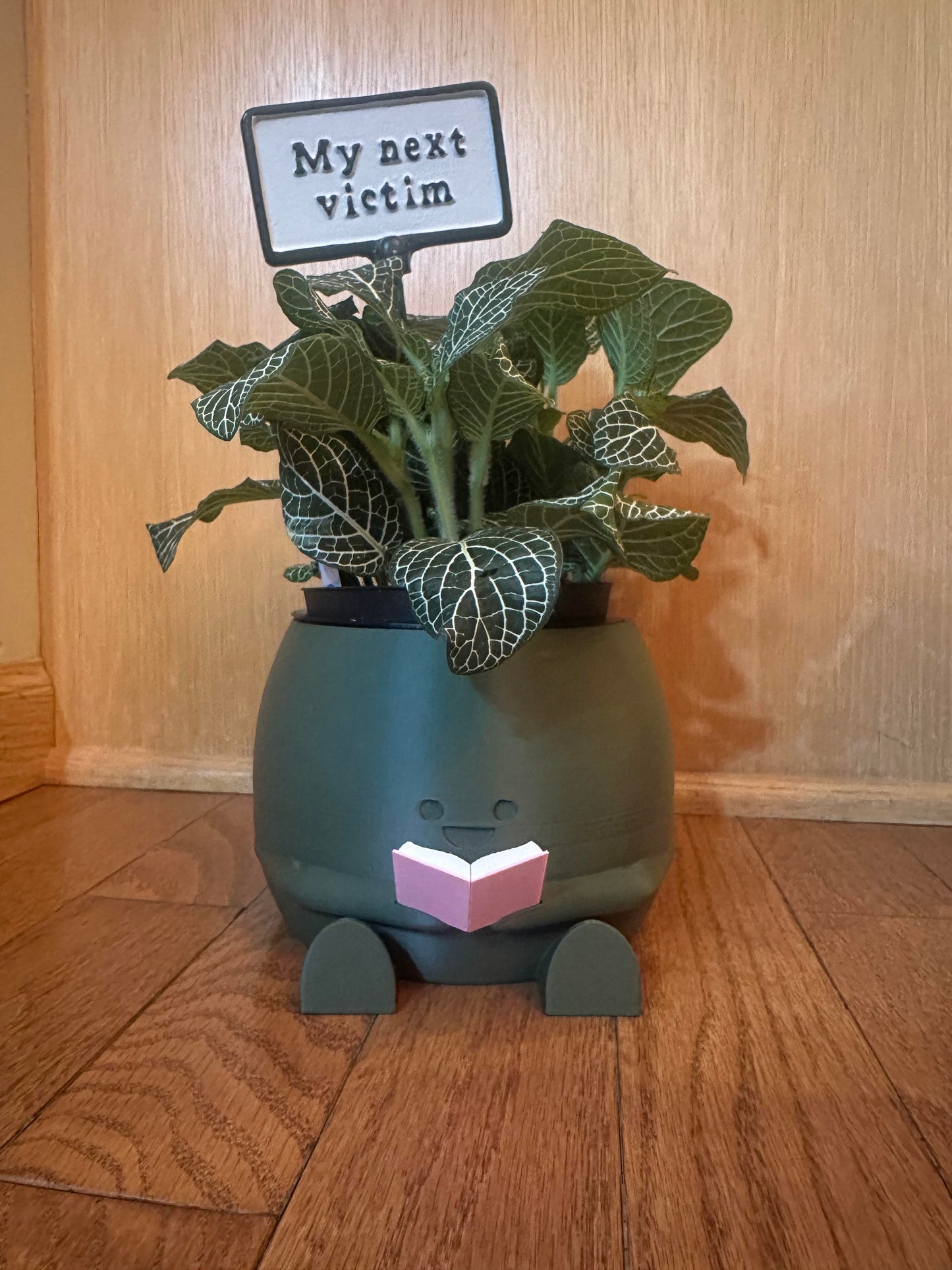 Smiling Book Reading Planter